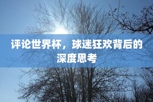 评论世界杯，球迷狂欢背后的深度思考