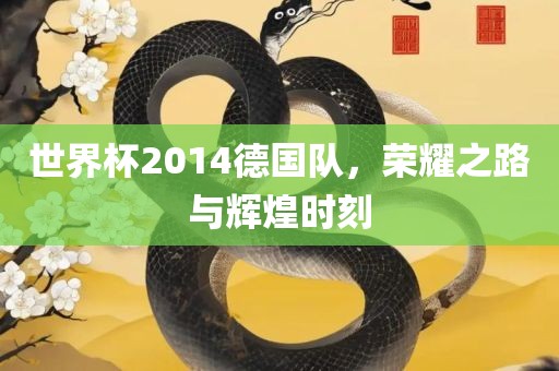 世界杯2014德国队，荣耀之路与辉煌时刻