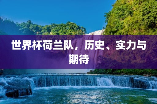 世界杯荷兰队，历史、实力与期待