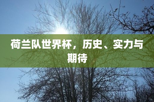 荷兰队世界杯，历史、实力与期待