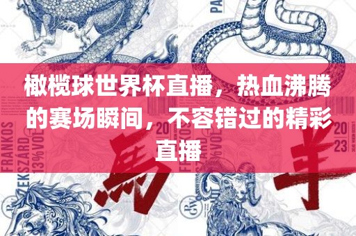 橄榄球世界杯直播，热血沸腾的赛场瞬间，不容错过的精彩直播