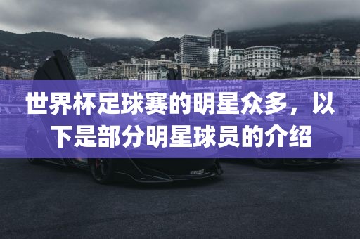 世界杯足球赛的明星众多，以下是部分明星球员的介绍