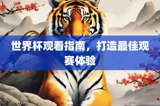 世界杯观看指南，打造最佳观赛体验