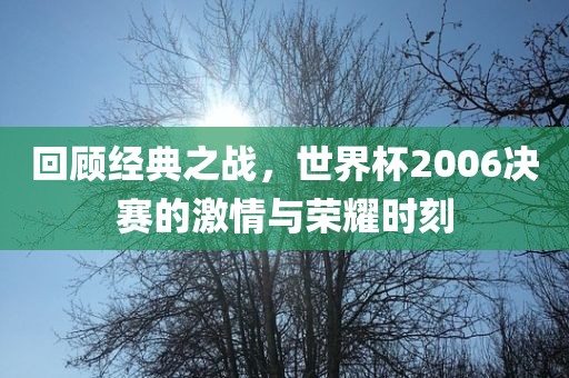 回顾经典之战，世界杯2006决赛的激情与荣耀时刻