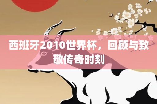 西班牙2010世界杯，回顾与致敬传奇时刻