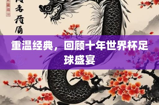 重温经典，回顾十年世界杯足球盛宴