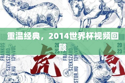 重温经典，2014世界杯视频回顾