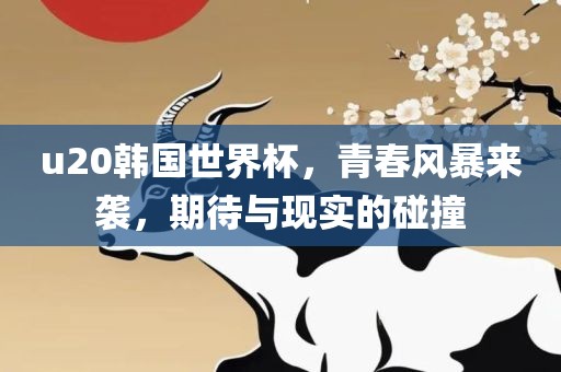 u20韩国世界杯，青春风暴来袭，期待与现实的碰撞