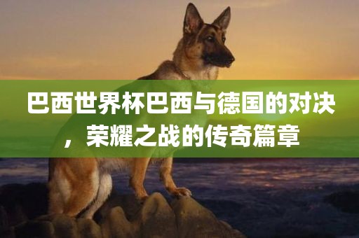 巴西世界杯巴西与德国的对决，荣耀之战的传奇篇章