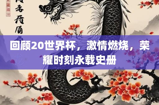 回顾20世界杯，激情燃烧，荣耀时刻永载史册眉山市正发家政服务有限公司