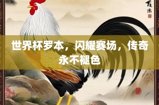 世界杯罗本，闪耀赛场，传奇永不褪色