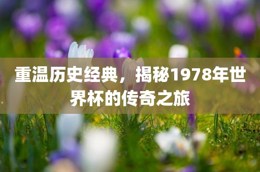 重温历史经典，揭秘1978年世界杯的传奇之旅