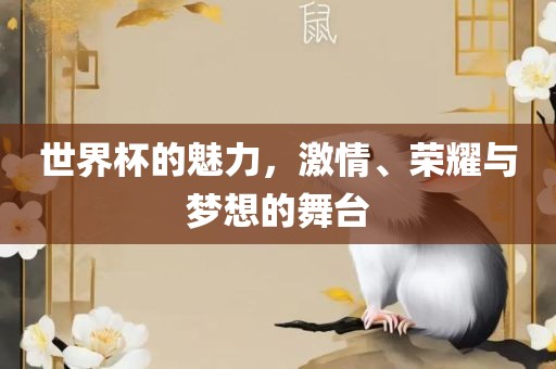 世界杯的魅力，激情、荣耀与梦想的舞台