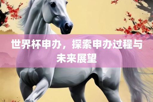 世界杯申办，探索申办过程与未来展望