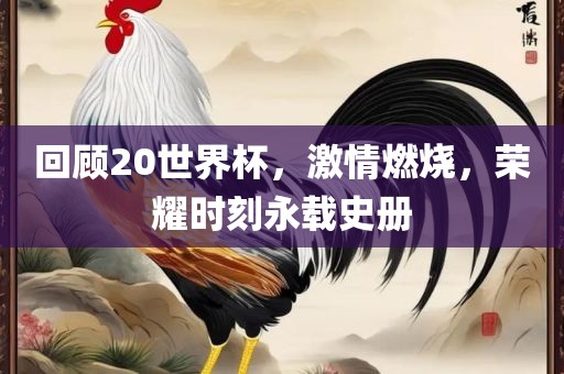 回顾20世界眉山市正发家政服务有限公司杯，激情燃烧，荣耀时刻永载史册
