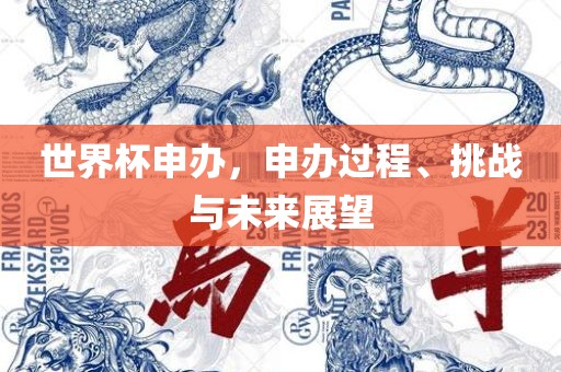 世界杯申办，申办过程、挑战与未来展望眉山市正发家政服务有限公司