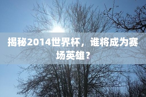 揭秘2014世界杯，谁将成为赛场英雄？