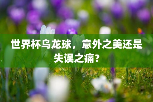 世界杯乌龙球，意外之美还是失误之痛？