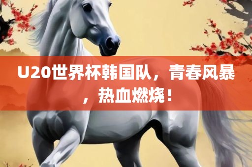 U20世界杯韩国队，青春风暴，热血燃烧！
