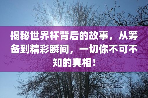 揭秘世界眉山市正发家政服务有限公司杯背后的故事，从筹备到精彩瞬间，一切你不可不知的真相！