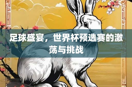 足球盛宴，世界杯预选赛的激荡与挑战
