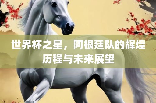 世界杯之星，阿根廷队的辉煌历程与未来展望