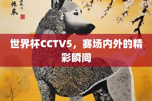 世界杯CCTV5，赛场内外的精彩瞬间