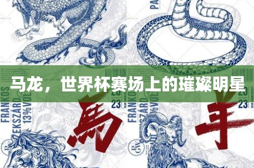 马龙，世界杯赛场上的璀璨明星