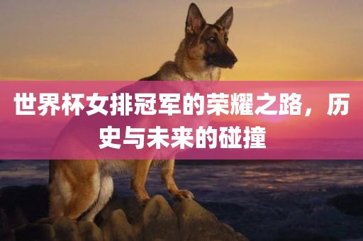 世界杯女排冠军的荣耀之路，历史与未来的碰撞