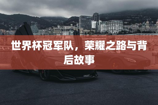 世界杯冠军队，荣耀之路与背后故事
