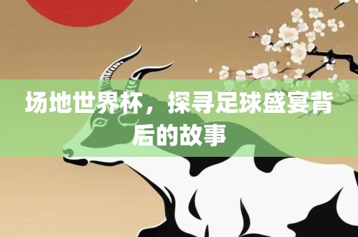场地世界杯，探寻足球盛宴背后的故事