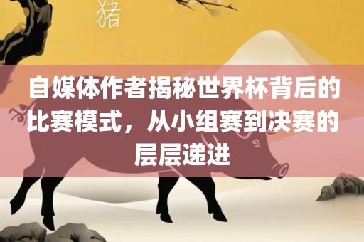 自媒体作者揭秘世界杯背后的比赛模式，从小组赛到决赛的层层递进