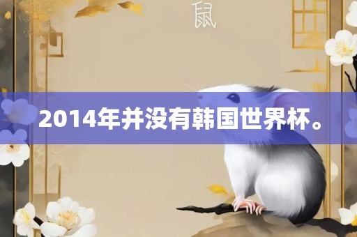 2014年并没有韩国世界杯。