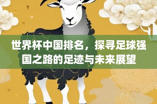 世界杯中国排名，探寻足球强国之路的足迹与未来展望