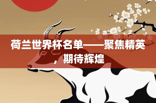 荷兰世界杯名单——聚焦精英，期待辉煌