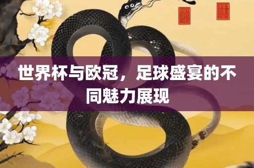 世界杯与欧冠，足球盛宴的不同魅力展现