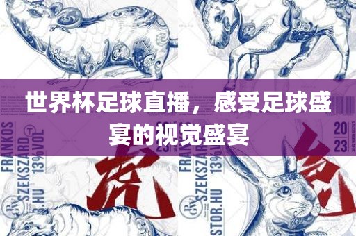 世界杯足球直播，感受足球盛宴的视觉盛宴眉山市正发家政服务有限公司