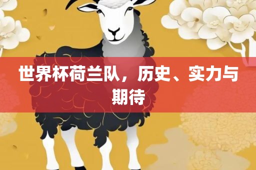 世界杯荷兰队，历史、实力与期待