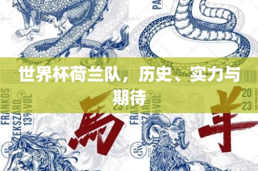 世界杯荷兰队，历史、实力与期待