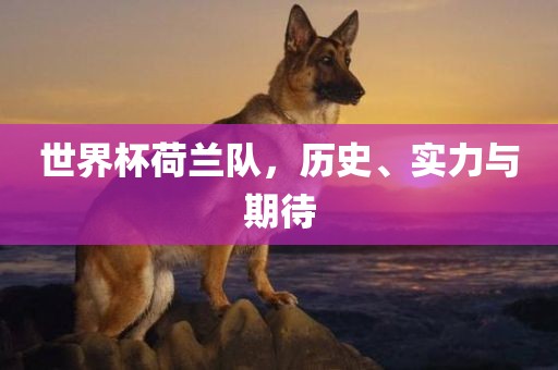 世界杯荷兰队，历史、实力与期待