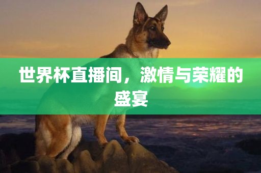 世界杯直播间，激情与荣耀的盛宴眉山市正发家政服务有限公司