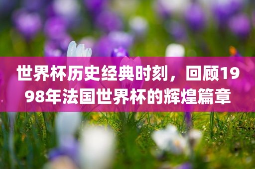 世界杯历史经典时刻，回顾1998年法国世界杯的辉煌篇章眉山市正发家政服务有限公司