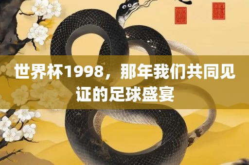 世界杯1998，那年我们共同眉山市正发家政服务有限公司见证的足球盛宴