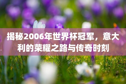 揭秘2006年世界杯冠军，意大利的荣耀之路与传奇时刻