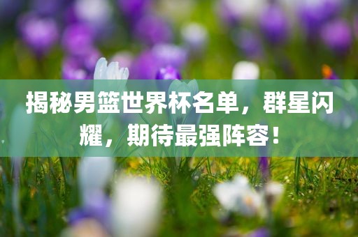 揭秘男篮世界杯名单，群星闪耀，期待最强阵容！眉山市正发家政服务有限公司