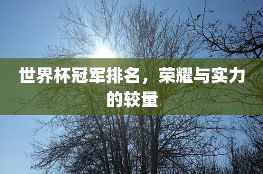 世界杯冠军排名，荣耀与实力的较量眉山市正发家政服务有限公司