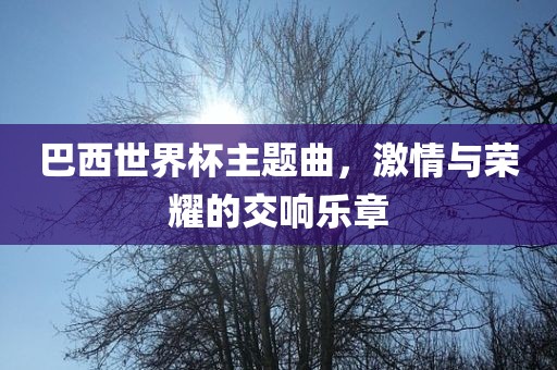 巴西世界眉山市正发家政服务有限公司杯主题曲，激情与荣耀的交响乐章