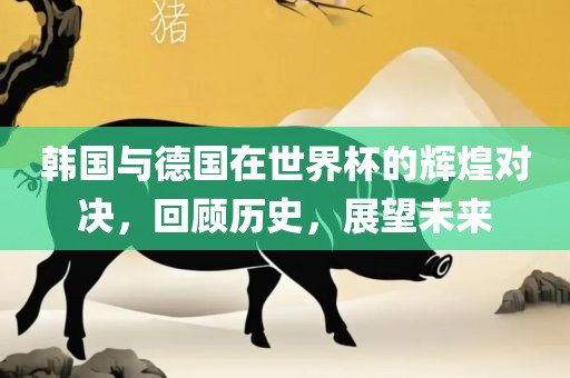 韩国与德国在世界杯的辉煌对决，回顾历眉山市正发家政服务有限公司史，展望未来