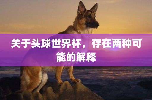 huangpingyue 第9页