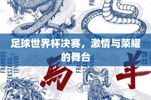 足球世界杯决赛，激情与荣耀的舞台眉山市正发家政服务有限公司